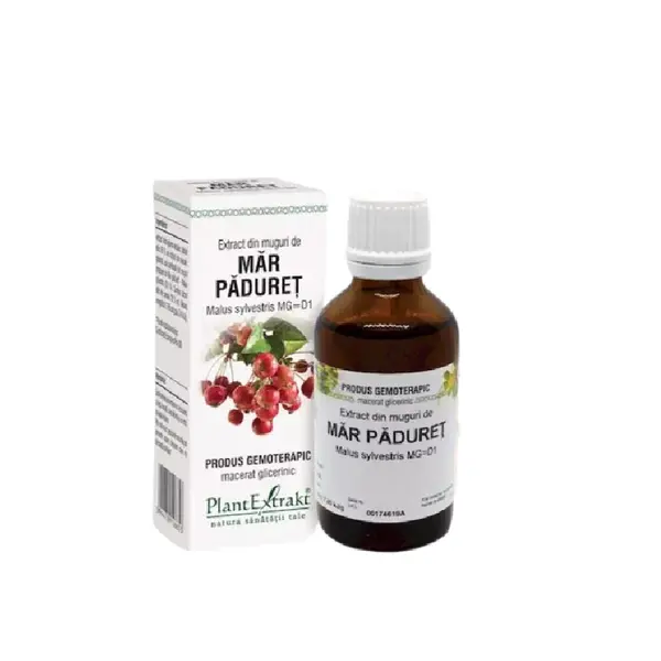 Extract din muguri de Mar Paduret, 50ml, PlantExtrakt