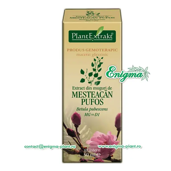 Extract din muguri de mesteacan pufos - 50ml