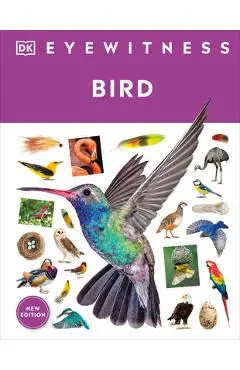Eyewitness Bird - Dk