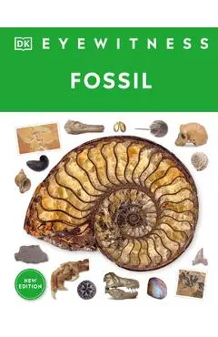 Eyewitness Fossil - Dk