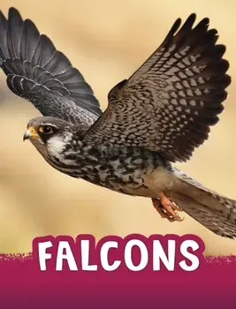 Falcons, Hardback/Jaclyn Jaycox