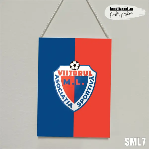 Fanion Asociatia Sportiva Viitorul M.L. SML7