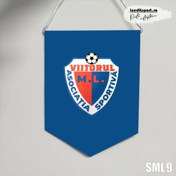 Fanion Asociatia Sportiva Viitorul M.L. SML9