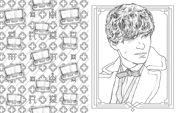 Fantastic Beasts and Where to Find Them |