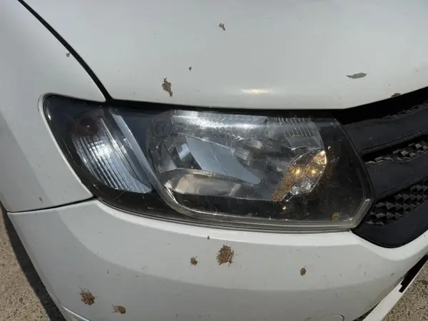 Far dreapta 260105344R Dacia Sandero 2 (2012-2017)