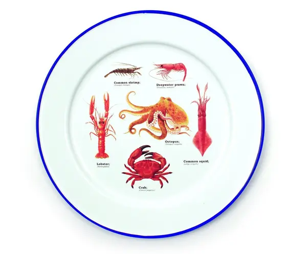 Farfurie metalica - Sea life - Set 2 | Gift Republic