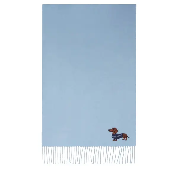 Fascia scarf light blue
