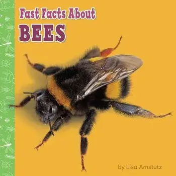 Fast Facts about Bees, Paperback/Lisa J. Amstutz