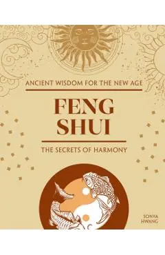 Feng Shui - Sonya Hwang