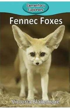 Fennec Foxes - Victoria Blakemore