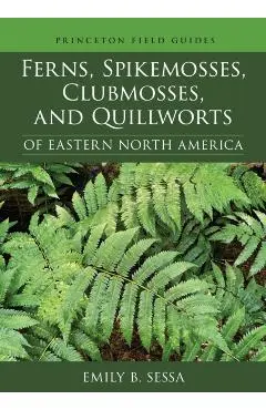 Ferns, Spikemosses, Clubmosses, and Quillworts of Eastern North America - Emily Sessa