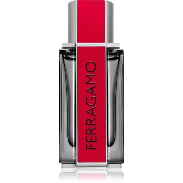 Ferragamo Ferragamo Red Leather Eau de Parfum pentru bărbați 100 ml