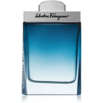 Ferragamo Subtil Pour Homme Eau de Toilette pentru bărbați