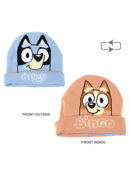 Fes Bluey