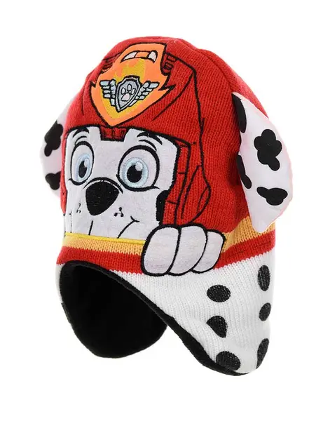 Fes Paw Patrol