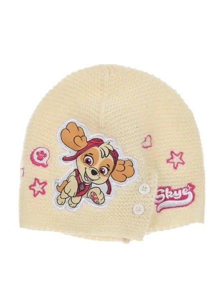 Fes Paw Patrol