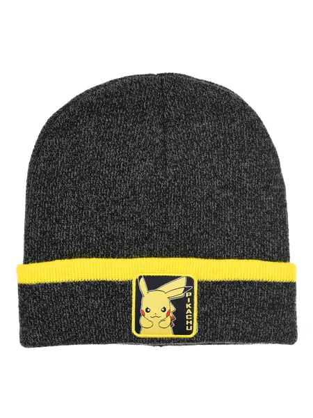 Fes Pokemon