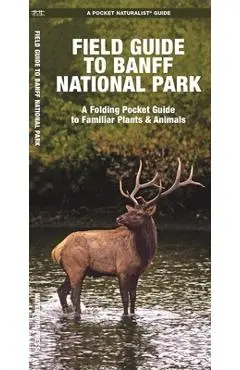 Field Guide to Banff National Park: A Folding Pocket Guide to Familiar Plants & Animals - James Kavanagh