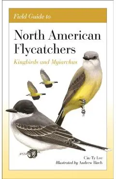 Field Guide to North American Flycatchers: Kingbirds and Myiarchus - Cin-ty Lee