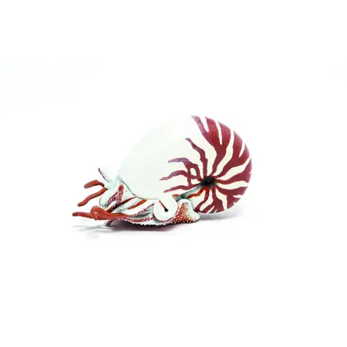 Figurina - Nautilus, Multicolor, 6 cm