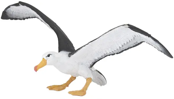 Figurina Papo Marine Life – Albatros