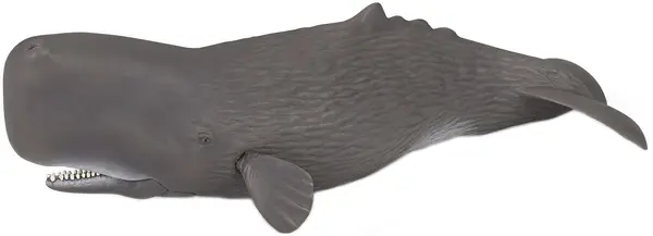 Figurina Papo Marine Life – Casalot