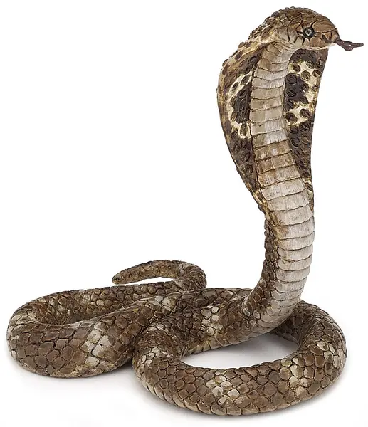 Figurina Papo Wild Animal Kingdom – Cobra regala