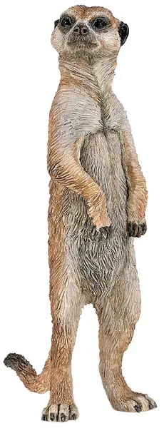 Figurina Papo Wild Animal Kingdom – Suricata