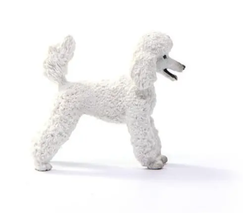 Figurina - Schleich - Pudel | Schleich