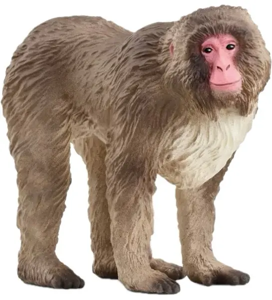 Figurina Schleich Wild Life - Macacul japonez