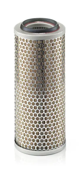 Filtru aer Mann-Filter C 13 114 4