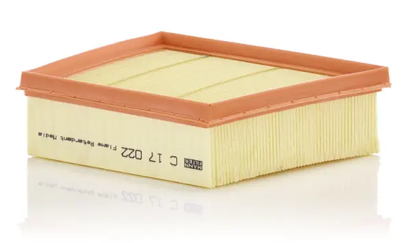 Filtru aer Mann-Filter C 17 022