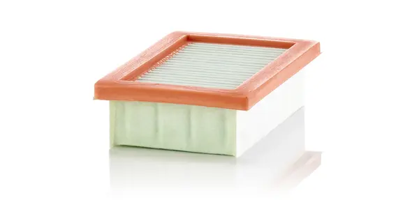 Filtru aer Mann-Filter C 22 033 1
