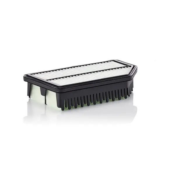 Filtru aer MANN-FILTER C 25 016