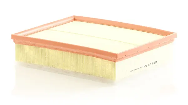 Filtru aer Mann-Filter C 29 034