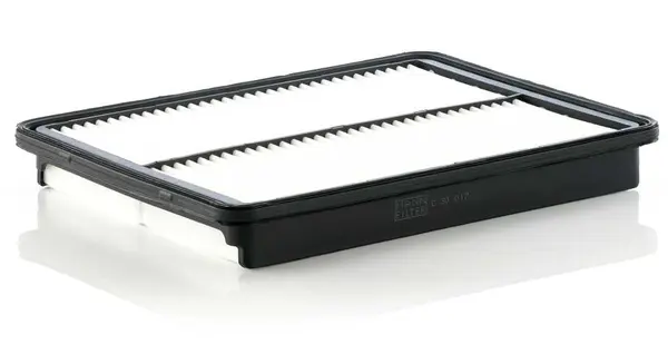 Filtru aer MANN-FILTER C 30 017