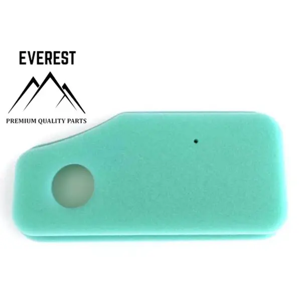 Filtru de Aer Briggs&stratton 10km-11km 270843 Everest