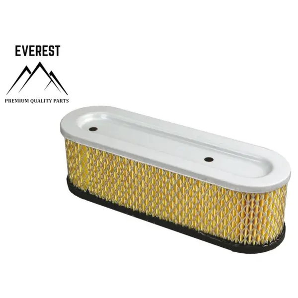 Filtru de Aer Briggs&stratton 10km-12km Everest