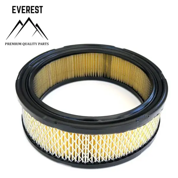 Filtru de Aer Briggs&stratton Vanguard 2 Cilinri Everest