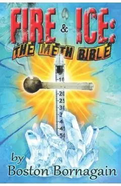 Fire and Ice: The Meth Bible - Sandra Lee