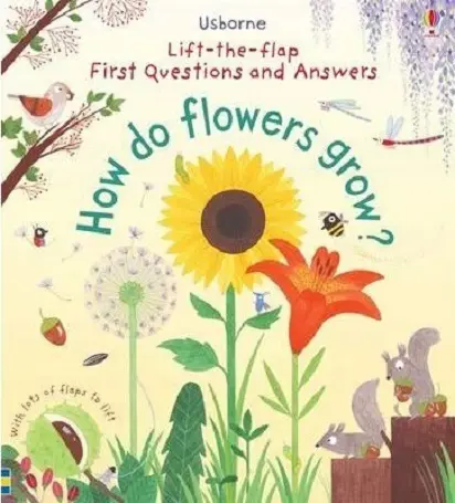 First Lift-the-Flap First Q&A |