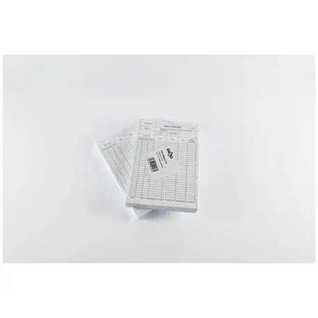 Fisa magazie A5 100 file set