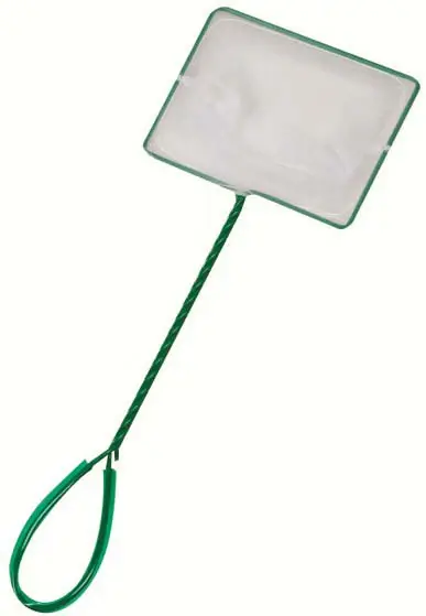 FLAMINGO Minciog verde