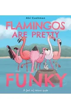 Flamingos Are Pretty Funky: A (Not So) Serious Guide - Abi Cushman
