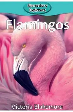 Flamingos - Victoria Blakemore