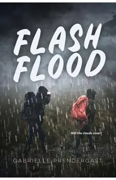 Flash Flood - Gabrielle Prendergast