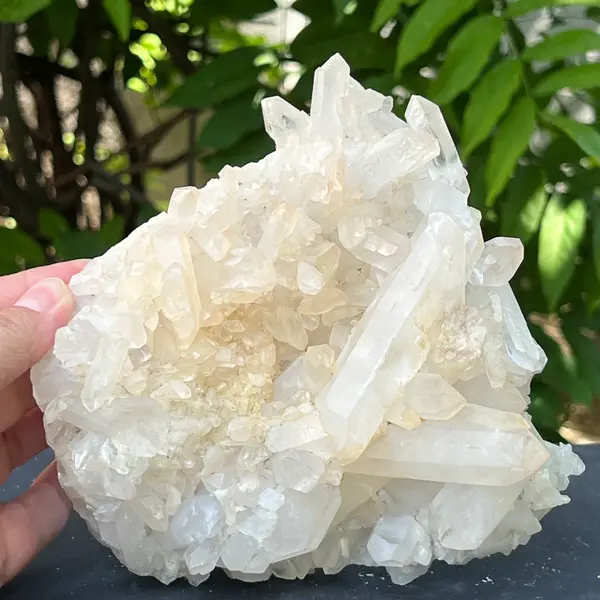 Floare de mina, cluster cuart ICY | Model 14