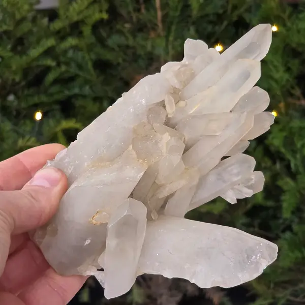 Floare de mina, cluster cuart ICY | Model 9