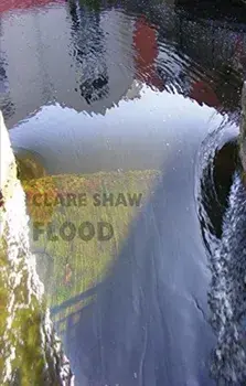 Flood, Paperback/Clare Shaw