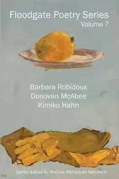 Floodgate Series Volume 7, Paperback/Barbara Robidoux
